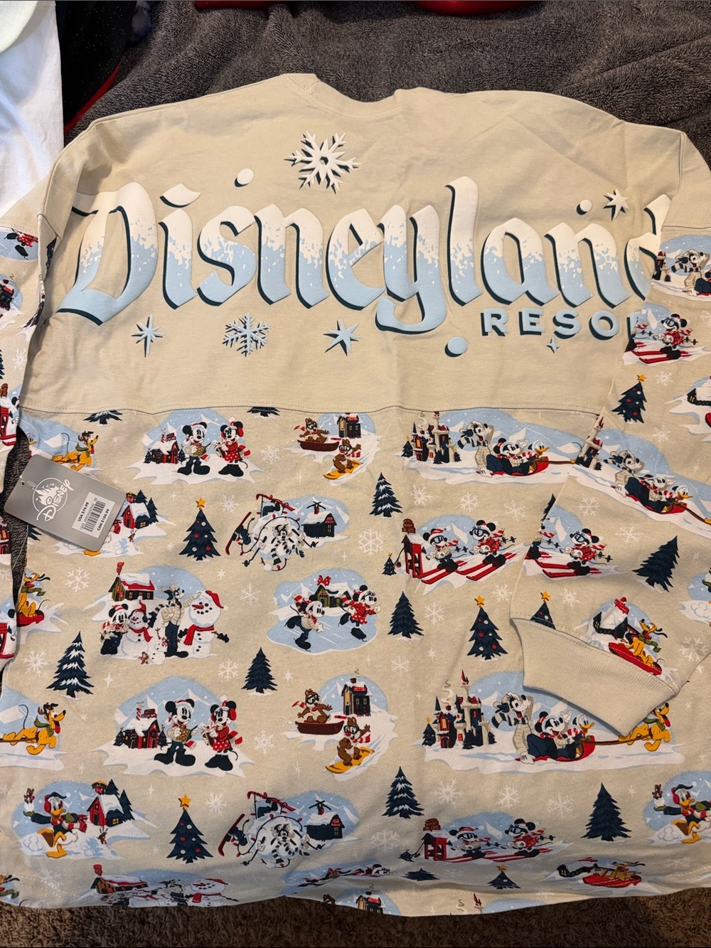 Disneyland Christmas Spirit Jersey